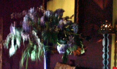 flowers in Hotel California, Todos Santos, Baja California, Mexico, september 2005 - photo by Susan Smith Nash